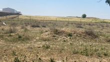 5 hektar Torpaq, Satış, Abşeron