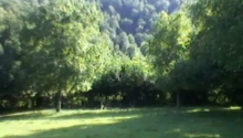 1 hektar Torpaq, Satış, Qəbələ