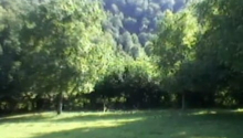 1 hektar Torpaq, Satış, Qəbələ