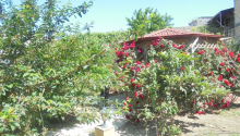 6 otaqlı Villa / Həyət evi, Satış, Bakı, Səbail
