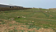 3 hektar Torpaq, Satış, Bakı, Sabunçu
