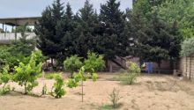 33 otaqlı Bağ evləri, Satış, Abşeron