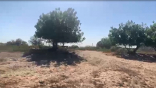 25 sot Torpaq, Satış, Bakı, Sabunçu