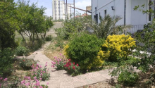 7 otaqlı Villa / Həyət evi, Satış, Bakı, Suraxanı