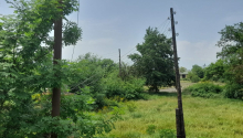 1 hektar Torpaq, Satış, Qusar