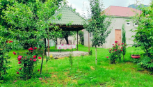 3 otaqlı Villa / Həyət evi, Kirayə (gündəlik), Qəbələ