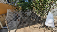 4 otaqlı Bağ evləri, Satış, Bakı, Xəzər