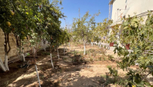 5 otaqlı Bağ evləri, Satış, Bakı, Binəqədi