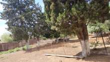  otaqlı Obyekt, Satış, Bakı, Binəqədi
