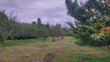 3 otaqlı Obyekt, Satış, Qusar