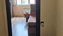 2 otaqlı Köhnə tikili, Satış, Bakı, Sabunçu