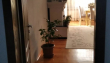3 otaqlı Yeni tikili, Satış, Qusar