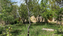 5 otaqlı Villa / Həyət evi, Satış, Şamaxı