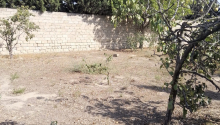 10 sot Torpaq, Satış, Bakı, Xəzər, Koroğlu