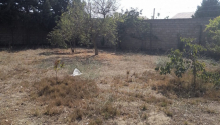 10 sot Torpaq, Satış, Bakı, Xəzər, Koroğlu