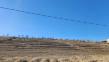 4 hektar Torpaq, Satış, Abşeron