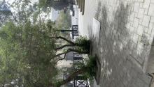 1 otaqlı Ofis, Kirayə (aylıq), Bakı, Nəsimi, 28 may