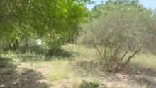 4 sot Torpaq, Satış, Bakı, Xəzər, Koroğlu