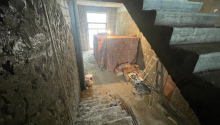  otaqlı Obyekt, Kirayə (aylıq), Bakı, Nəsimi