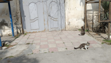 3 otaqlı Köhnə tikili, Satış, Bakı, Xəzər, Koroğlu