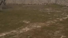 10 sot Torpaq, Satış, Bakı, Sabunçu