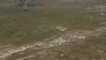 10 sot Torpaq, Satış, Bakı, Sabunçu