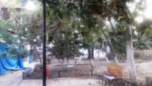 6 sot Torpaq, Satış, Bakı, Binəqədi