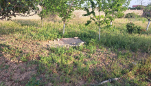 20 sot Torpaq, Satış, Bakı, Sabunçu