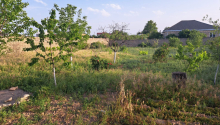 20 sot Torpaq, Satış, Bakı, Sabunçu