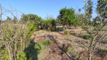 12 sot Torpaq, Satış, Bakı, Sabunçu, Koroğlu