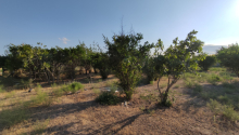 12 sot Torpaq, Satış, Bakı, Sabunçu, Koroğlu