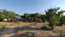 12 sot Torpaq, Satış, Bakı, Sabunçu, Koroğlu