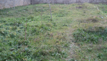 4 sot Torpaq, Satış, Bakı, Xəzər, Koroğlu