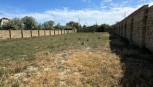 12 sot Torpaq, Satış, Sumqayıt