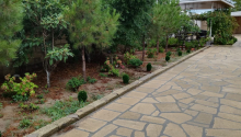 5 otaqlı Bağ evləri, Satış, Abşeron