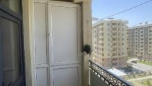 4 otaqlı Yeni tikili, Satış, Abşeron