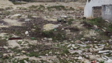 171 sot Torpaq, Satış, Bakı, Xətai, Həzi Aslanov