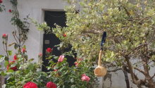 5 otaqlı Villa / Həyət evi