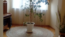 5 otaqlı Villa / Həyət evi, Satış, Bakı, Binəqədi, Azadlıq pros.