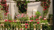 5 otaqlı Villa / Həyət evi, Satış, Bakı, Binəqədi, Azadlıq pros.