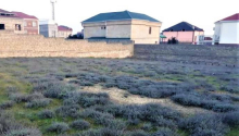 3 sot Torpaq, Satış, Bakı, Səbail