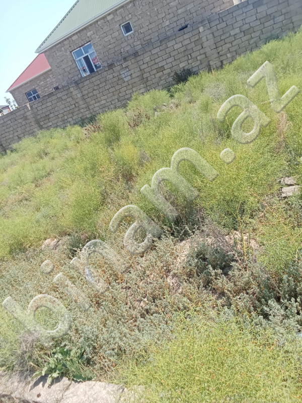 3 sot Torpaq, Satış, Bakı, Suraxanı