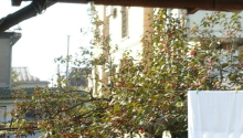 6 otaqlı Villa / Həyət evi