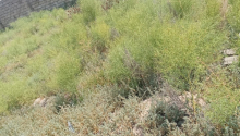 3 sot Torpaq, Satış, Bakı, Suraxanı