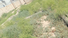 3 sot Torpaq, Satış, Bakı, Suraxanı