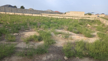 10 m2 Torpaq, Satış, Bakı, Xəzər, Koroğlu