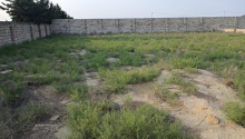 10 m2 Torpaq, Satış, Bakı, Xəzər, Koroğlu