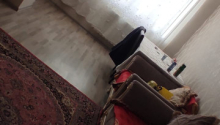 2 otaqlı Yeni tikili, Kirayə (aylıq), Abşeron