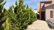 5 otaqlı Bağ evləri, Satış, Abşeron