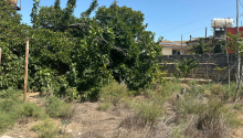 65 m2 Torpaq, Satış, Bakı, Xəzər, Koroğlu